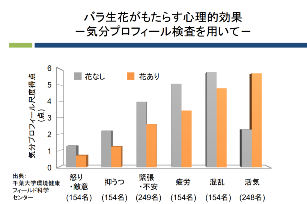 花セラピー でストレス軽減 花のもつ不思議な力を知ろう ひとのこと