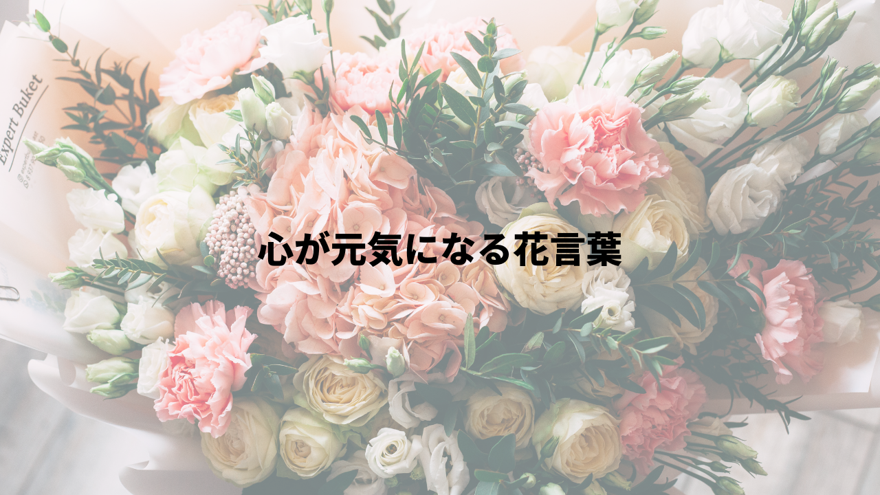 心が元気になる花言葉 | ひとのこと